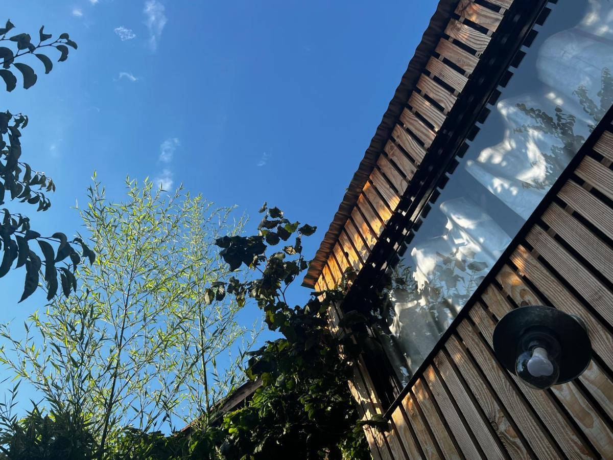 La Cabane Du 375, Piscine Clim,Jacuzzi Et Insolite Saint-Jean-de-Moirans 외부 사진